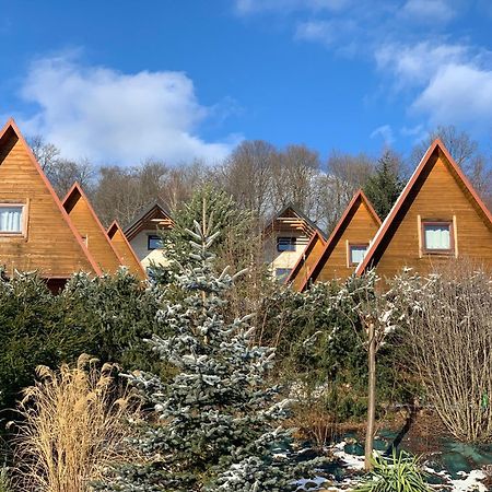 Domki Nad Solina Czarny Kot 509-797-777 Eksteriør bilde