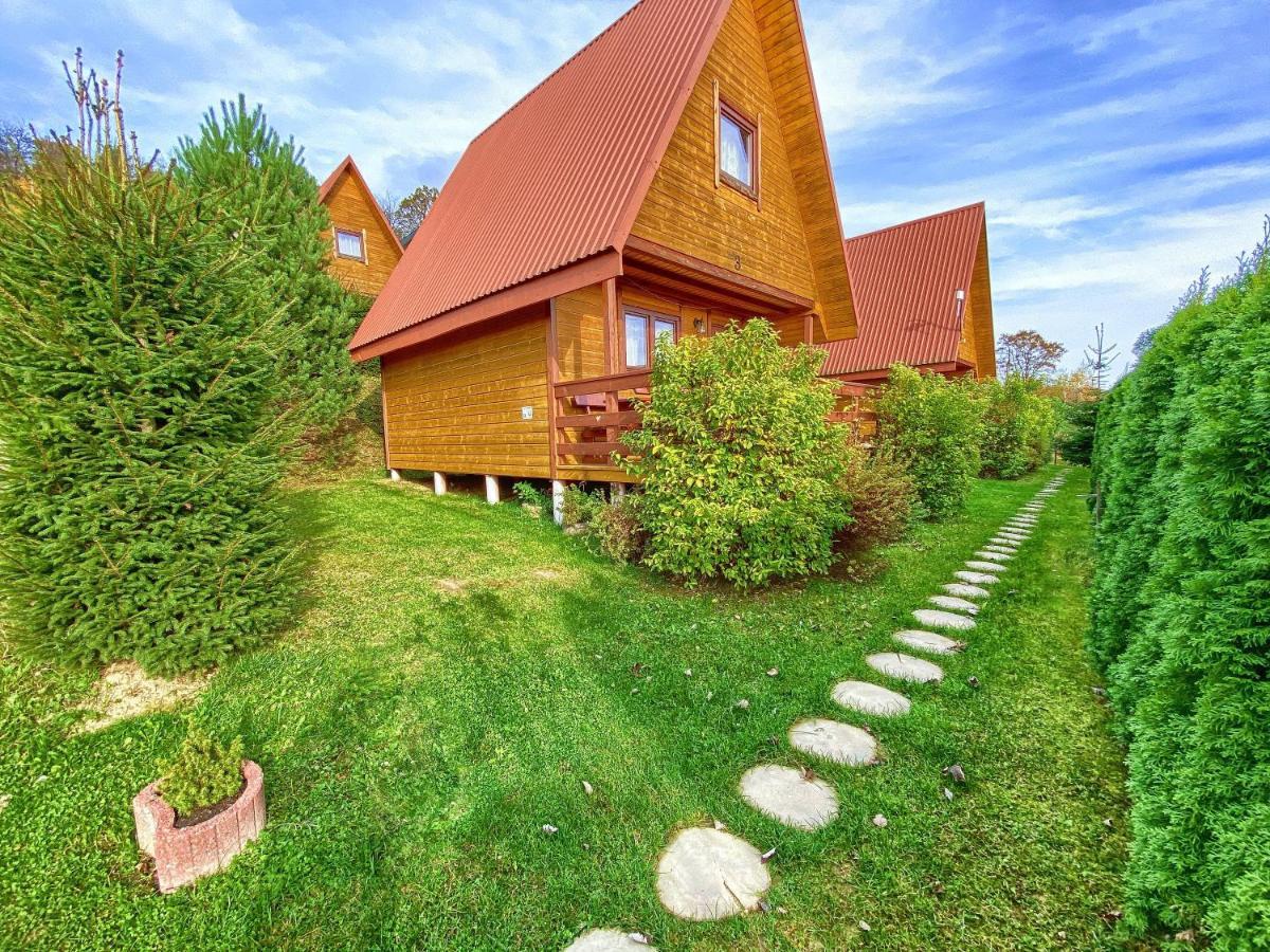 Domki Nad Solina Czarny Kot 509-797-777 Eksteriør bilde