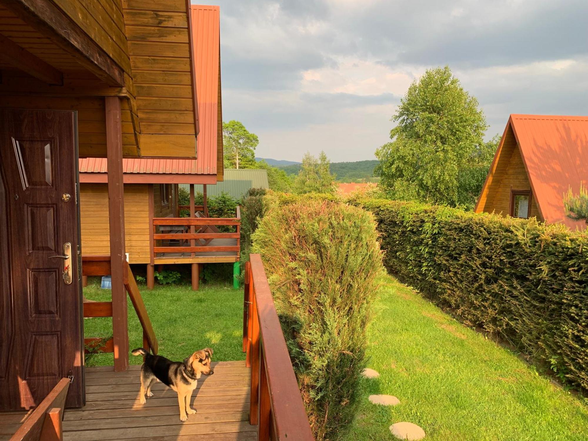 Domki Nad Solina Czarny Kot 509-797-777 Eksteriør bilde